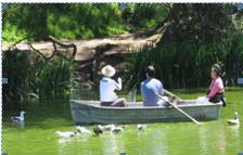 Golden Gate Park